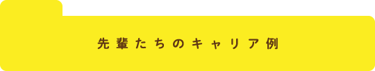 先輩たちのキャリア例